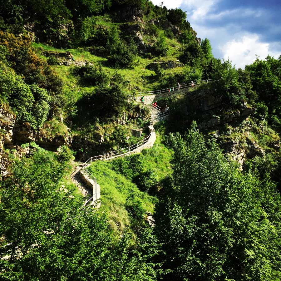 Kallarites_Syrakko_9321