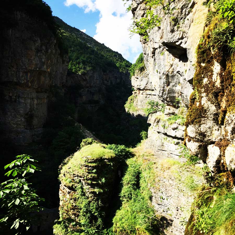 Kallarites_Syrakko_9323