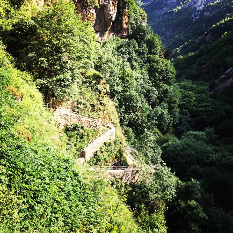 Kallarites_Syrakko_9324