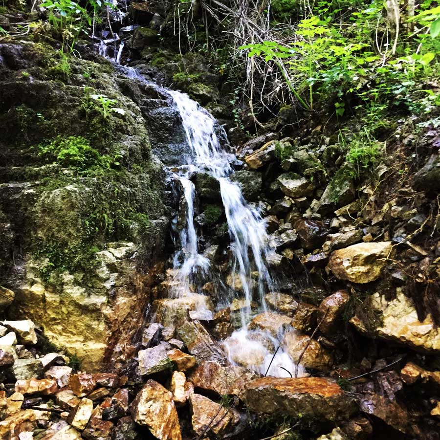 Kallarites_Syrakko_9329