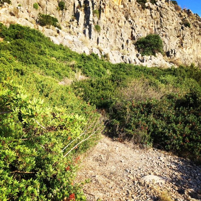 Climbing_Argolis_Fragchti_Caves_1443