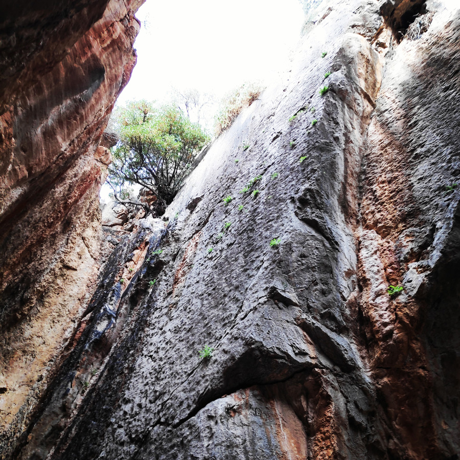 Climbing_Franchthi_Caves_Ermionida_Argolis_142352_962