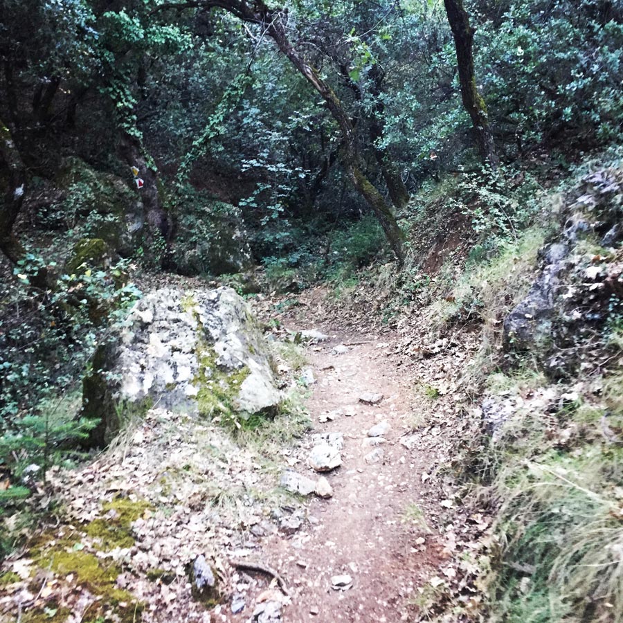 Taygetos_Pentadaktylos_Anavriti_Crossing_1220