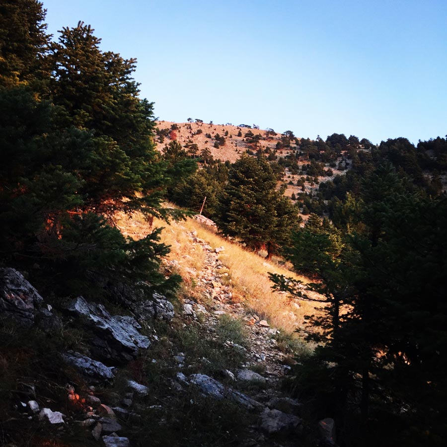 Taygetos_Pentadaktylos_Anavriti_Crossing_1227