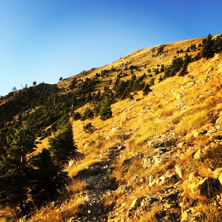 Taygetos_Pentadaktylos_Anavriti_Crossing_1230