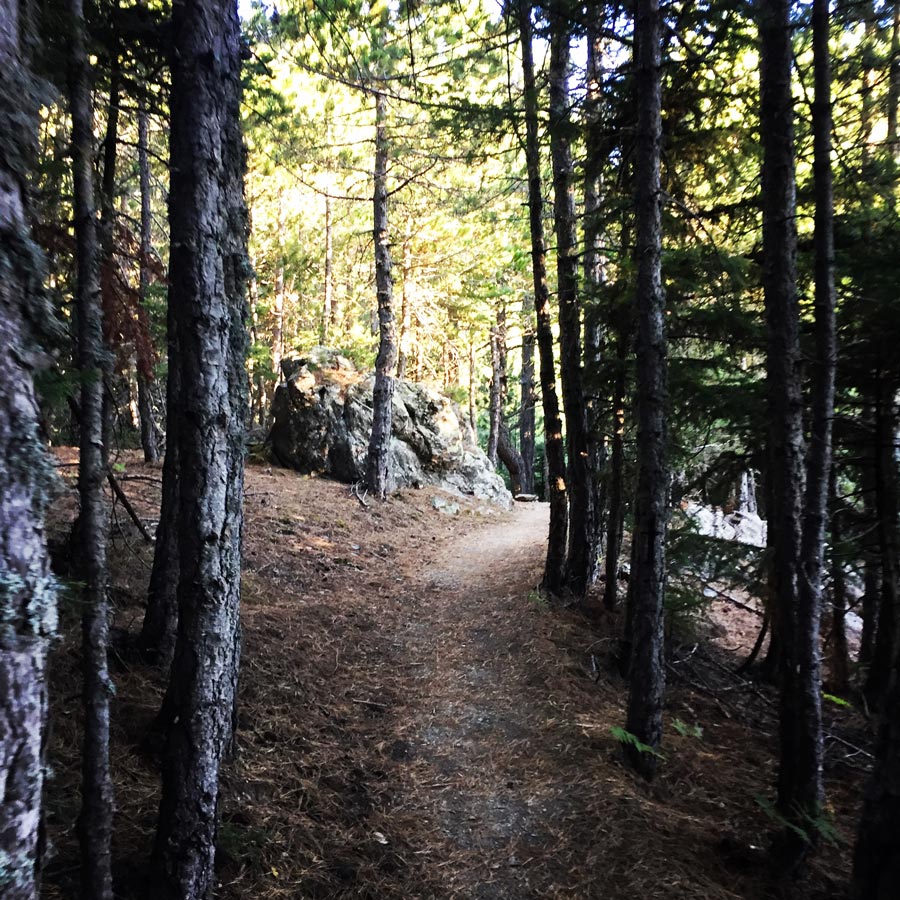 Taygetos_Refuge_Anavriti_E4_Crossing_1269