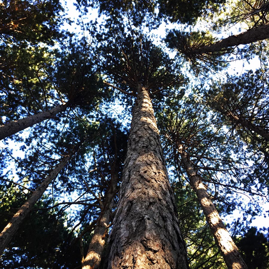 Taygetos_Refuge_Anavriti_E4_Crossing_1272