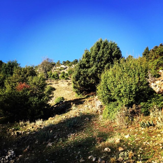 Aremisio_North_Face_Trad_Climbing_1771