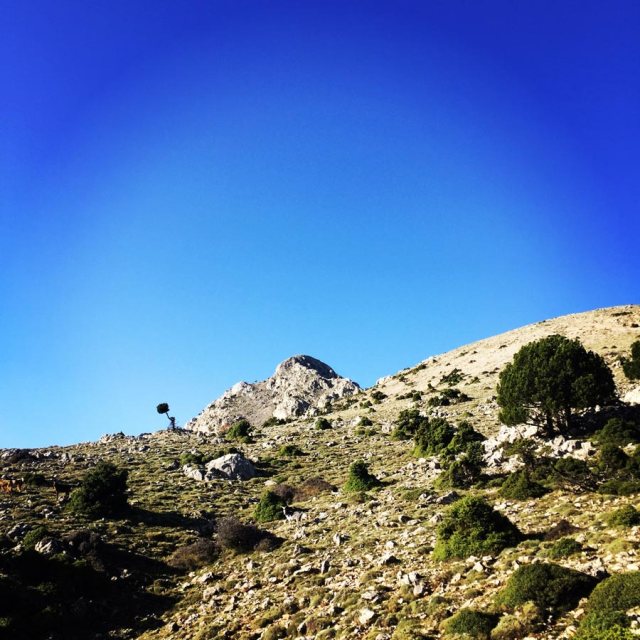 Aremisio_North_Face_Trad_Climbing_1774