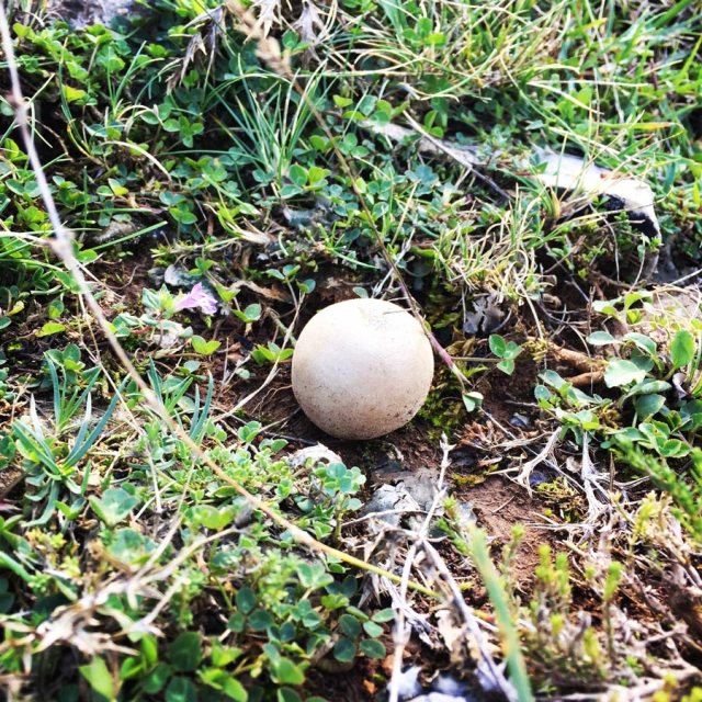 Aremisio_North_Face_Trad_Climbing_1799