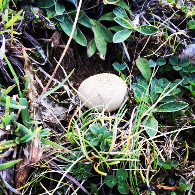 Aremisio_North_Face_Trad_Climbing_1800