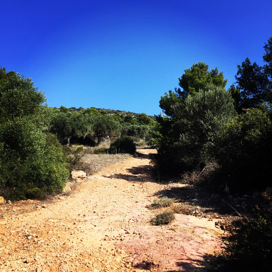 Climbing_Etos_Spata_Athens_Airport_2517