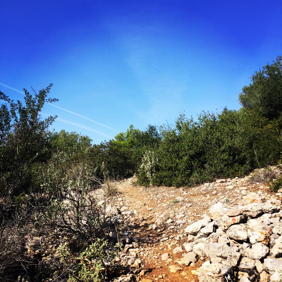 Climbing_Etos_Spata_Athens_Airport_2518