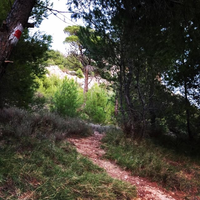 Climbing_Fyli_Pano_Alogopetra_2746