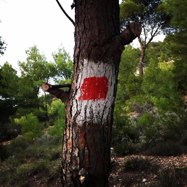 Climbing_Fyli_Pano_Alogopetra_2747