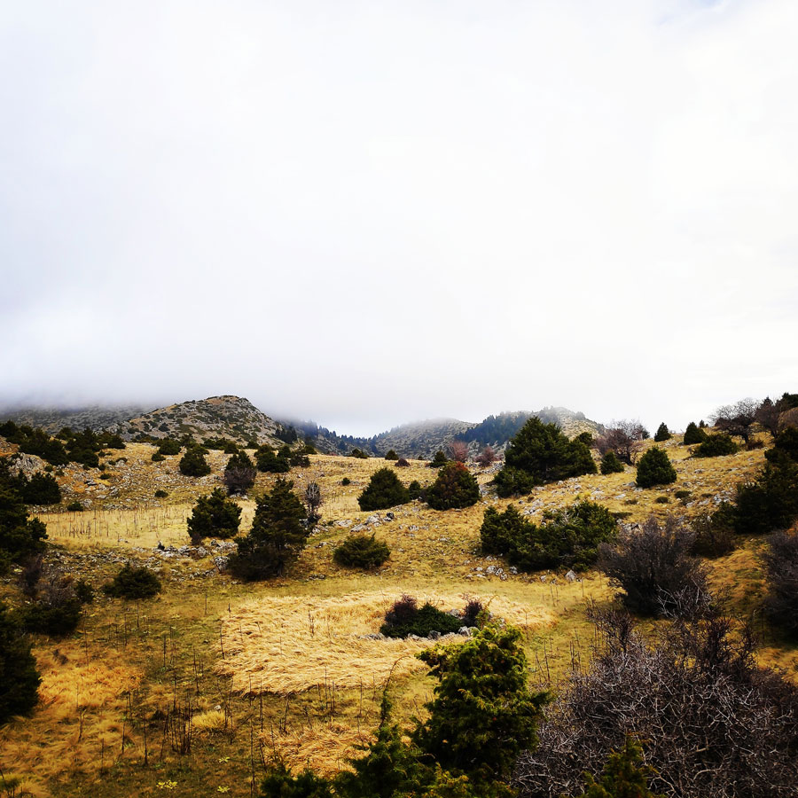 Mainalo_Menalo_Mountain_Ostrakina-Mavri_Koryfi_Travere_20181125_201358_430