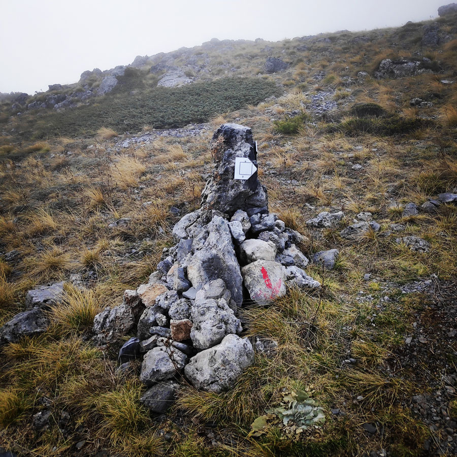 Mainalo_Menalo_Mountain_Ostrakina-Mavri_Koryfi_Travere_20181125_201500_178