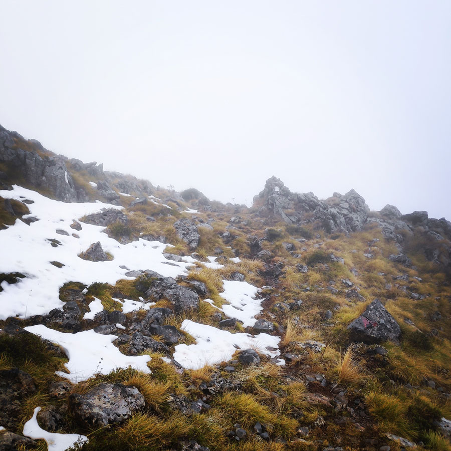 Mainalo_Menalo_Mountain_Ostrakina-Mavri_Koryfi_Travere_20181125_201557_241