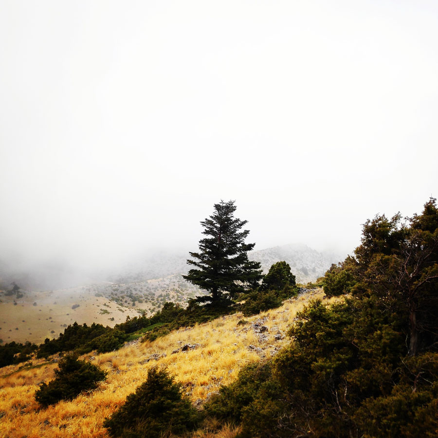 Mainalo_Menalo_Mountain_Ostrakina-Mavri_Koryfi_Travere_20181125_202014_056