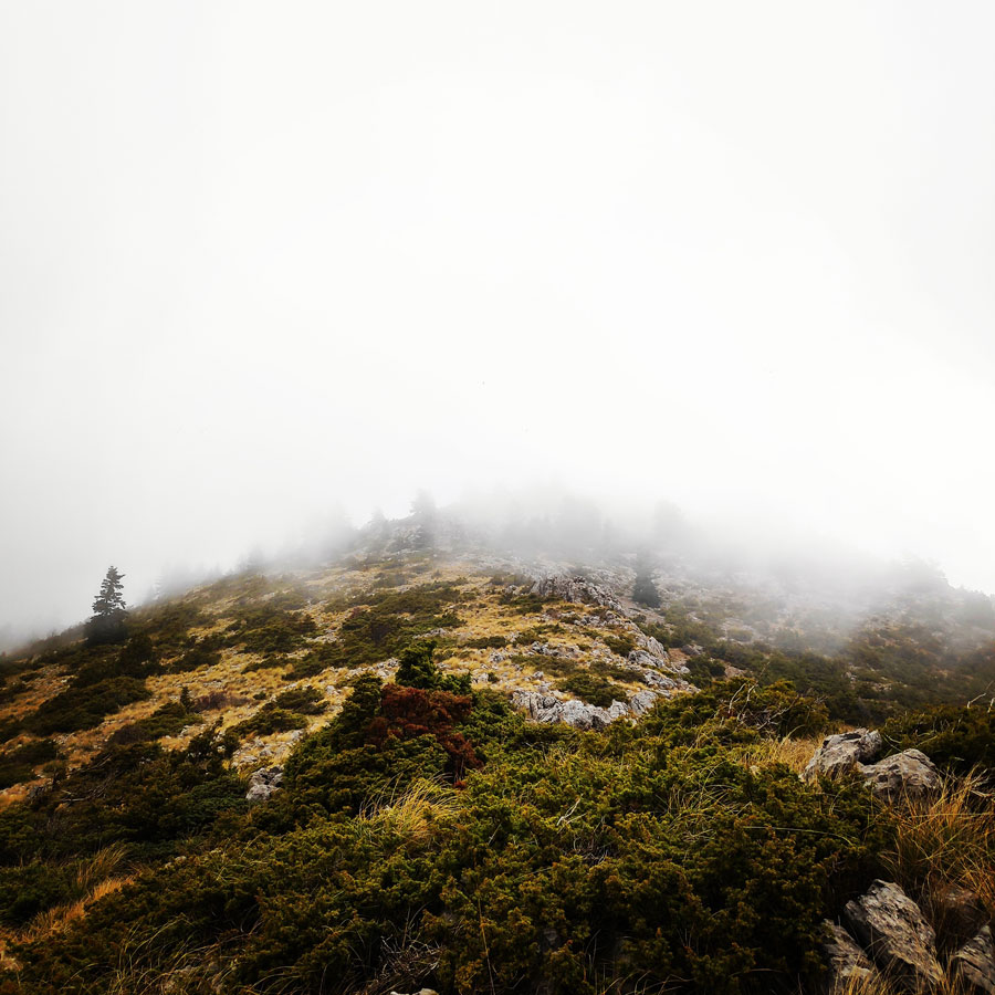 Mainalo_Menalo_Mountain_Ostrakina-Mavri_Koryfi_Travere_20181125_202117_265