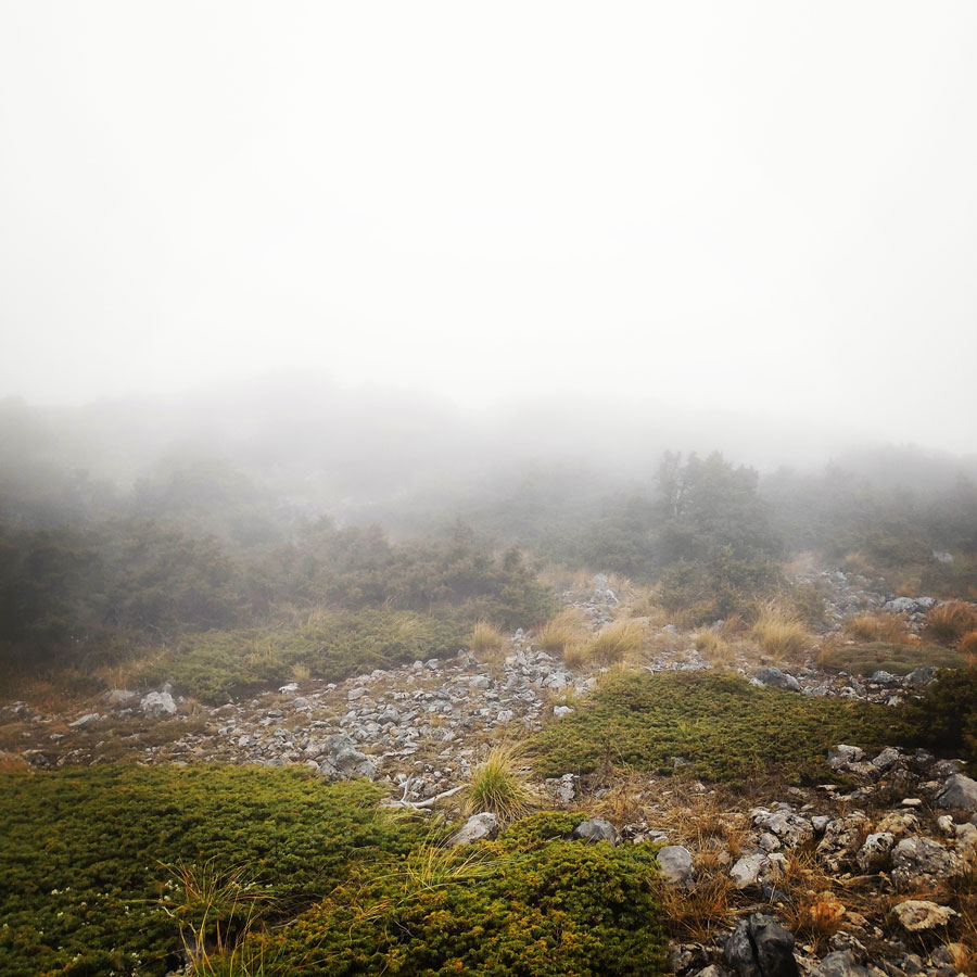 Mainalo_Menalo_Mountain_Ostrakina-Mavri_Koryfi_Travere_20181125_202137_710