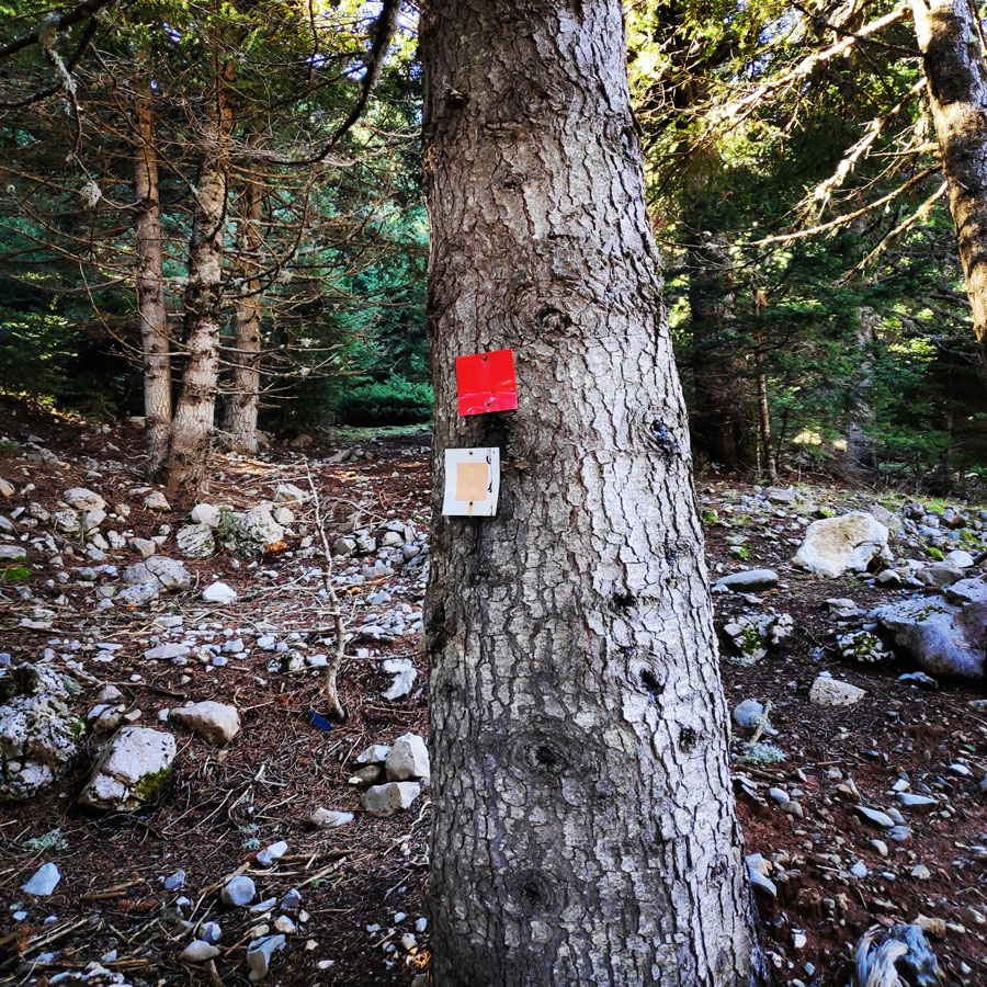 Mainalo_Menalo_Mountain_Refuge_Tzelati_20181125_174541_898