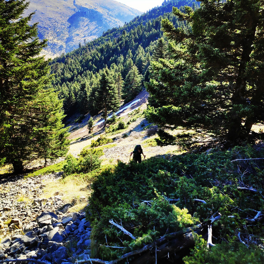 Mainalo_Menalo_Mountain_Refuge_Tzelati_20181125_180316_243