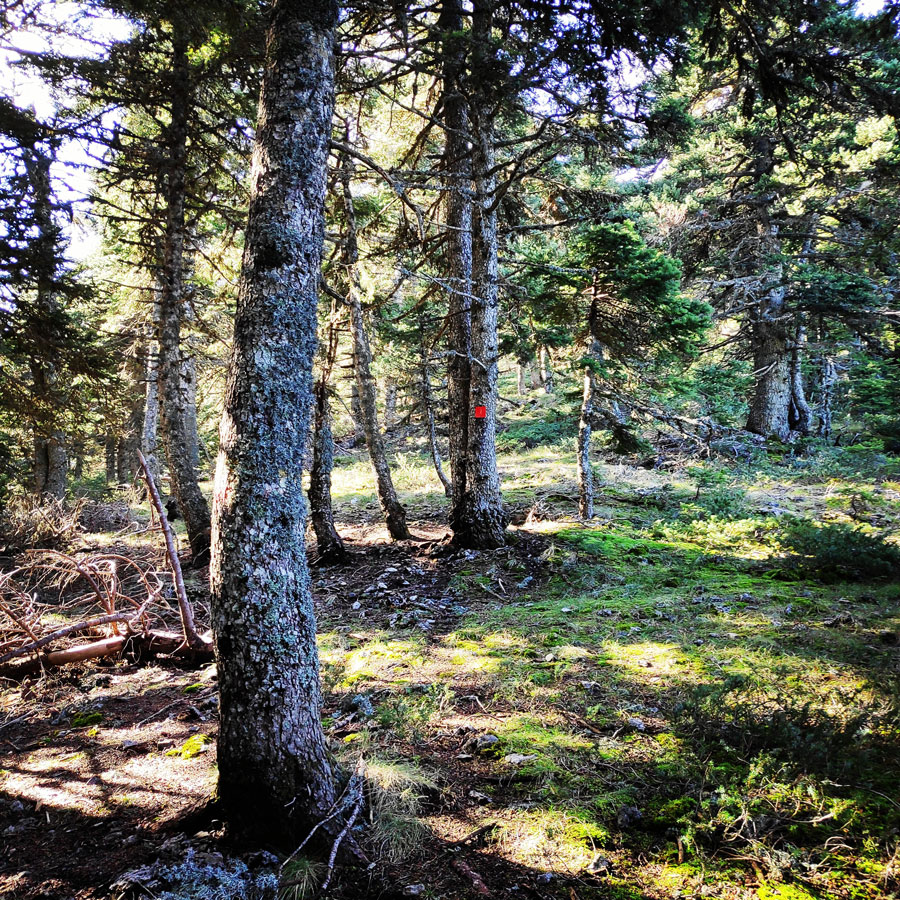 Mainalo_Menalo_Mountain_Refuge_Tzelati_20181125_185434_579