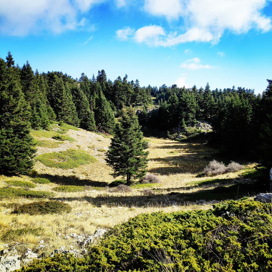Mainalo_Menalo_Mountain_Refuge_Tzelati_20181125_185504_524