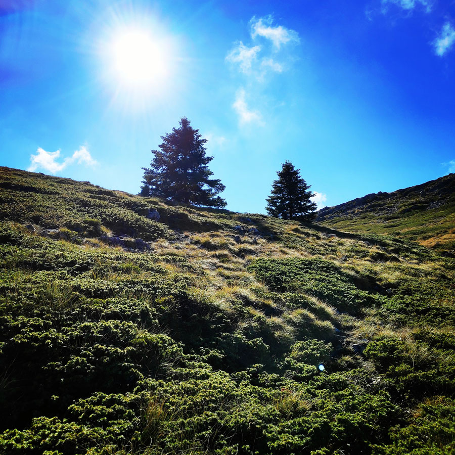 Mainalo_Menalo_Mountain_Refuge_Tzelati_20181125_185719_055