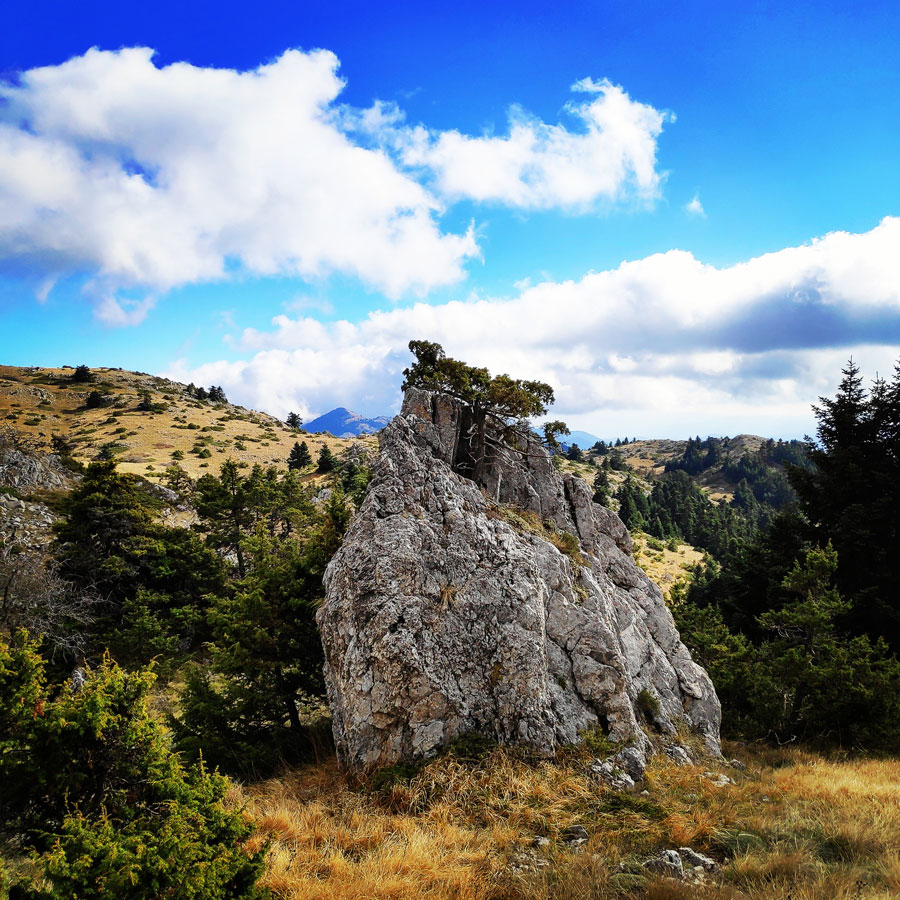 Mainalo_Menalo_Mountain_Refuge_Tzelati_20181125_190118_521