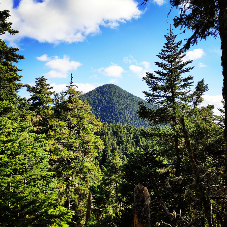 Mainalo_Menalo_Mountain_Refuge_Tzelati_20181125_190307_110
