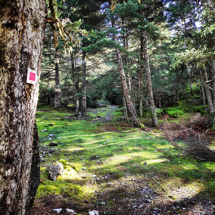 Mainalo_Menalo_Mountain_Refuge_Tzelati_20181125_190407_612
