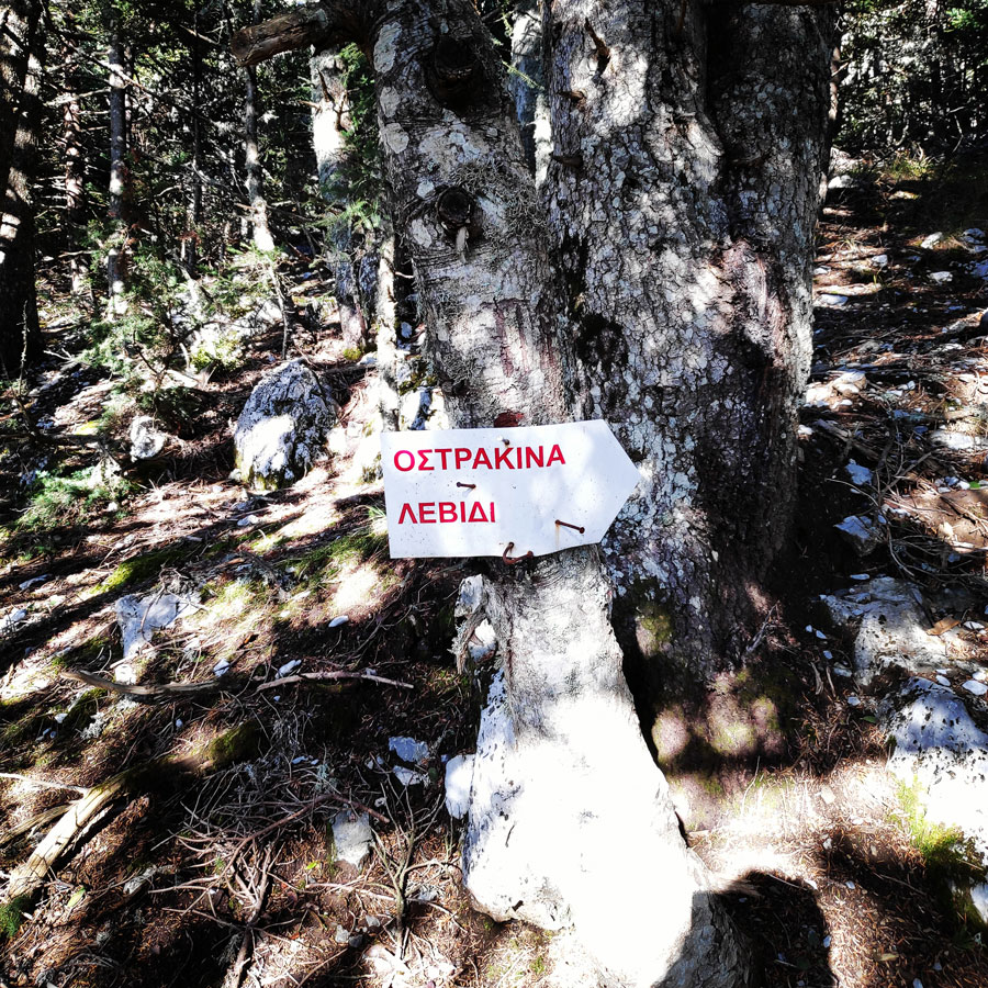 Mainalo_Menalo_Mountain_Refuge_Tzelati_20181125_190913_823