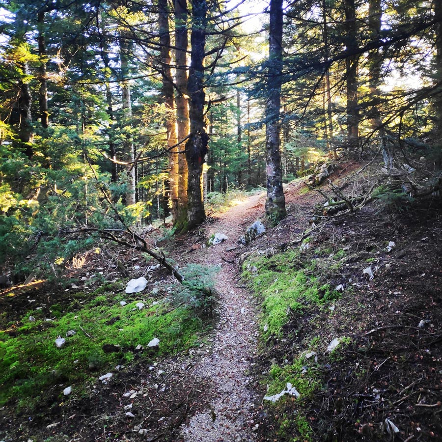 Tzoumerka_Athamanika_Pramanta_Waterfall_20181223_194905_084