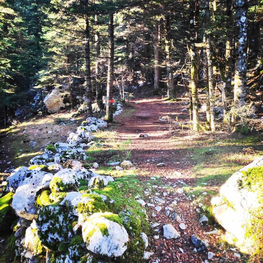 Tzoumerka_Athamanika_Pramanta_Waterfall_20181223_194941_183