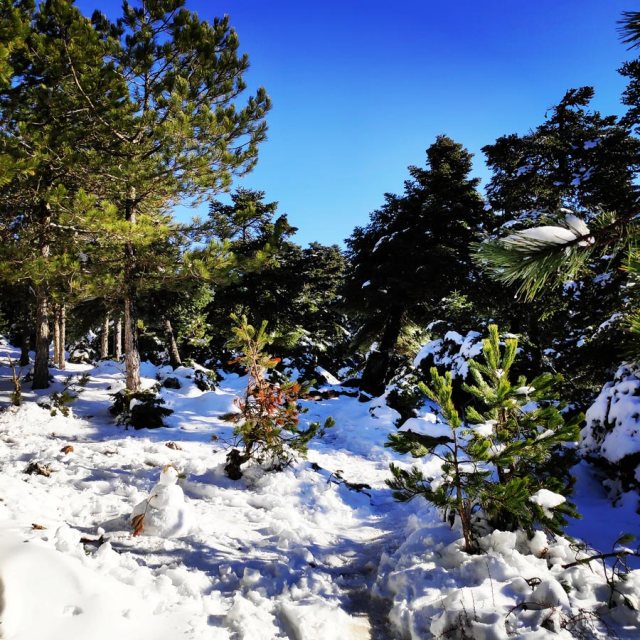 Winter_Hiking_Parnitha_20181230_104003_794