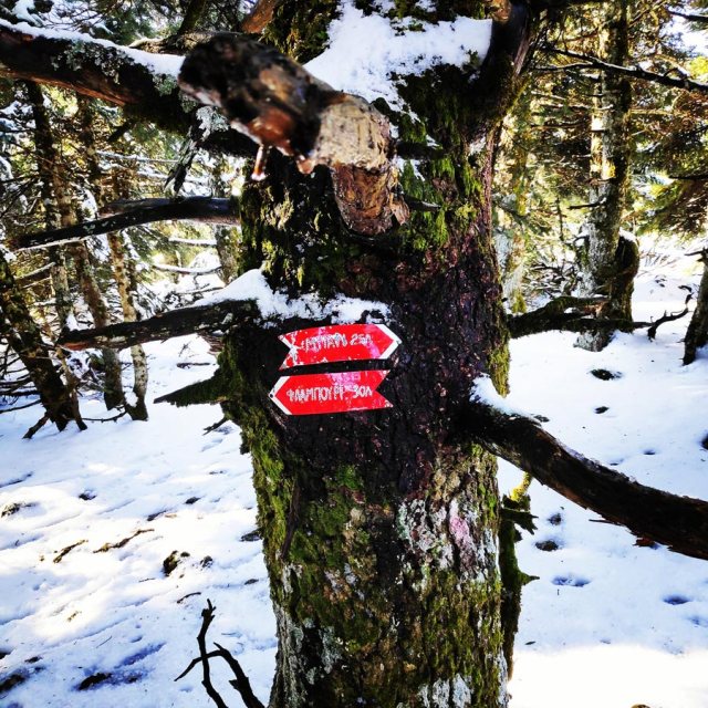 Winter_Hiking_Parnitha_20181230_104019_251