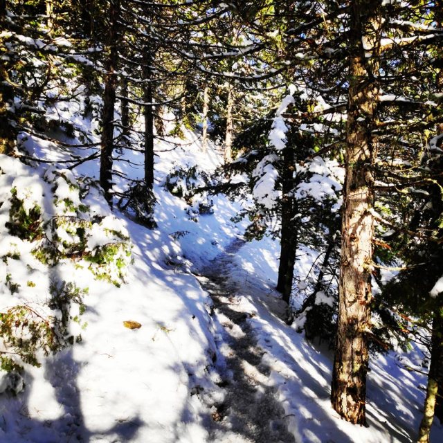 Winter_Hiking_Parnitha_20181230_104211_364