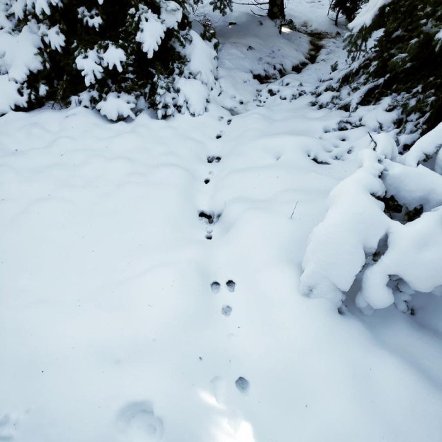 Winter_Hiking_Parnitha_20181230_104340_787