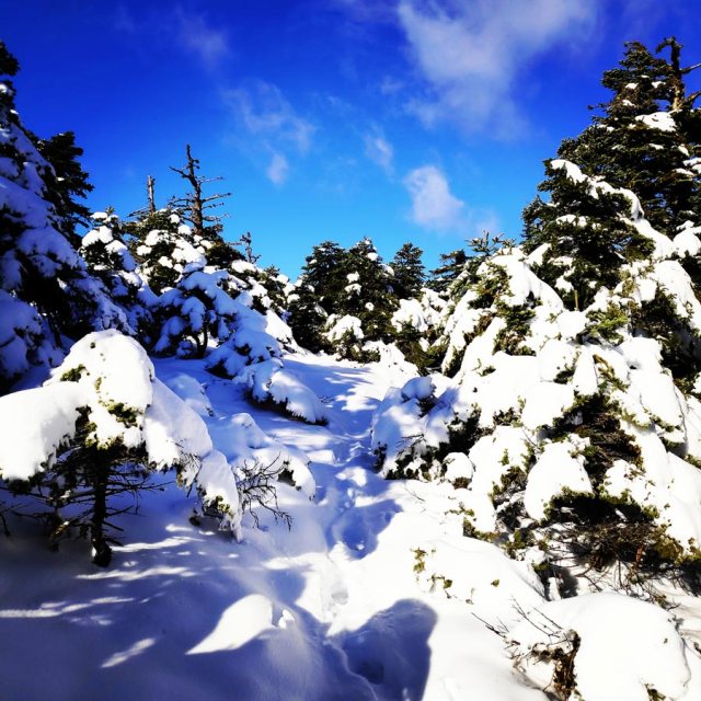 Winter_Hiking_Parnitha_20181230_104726_481
