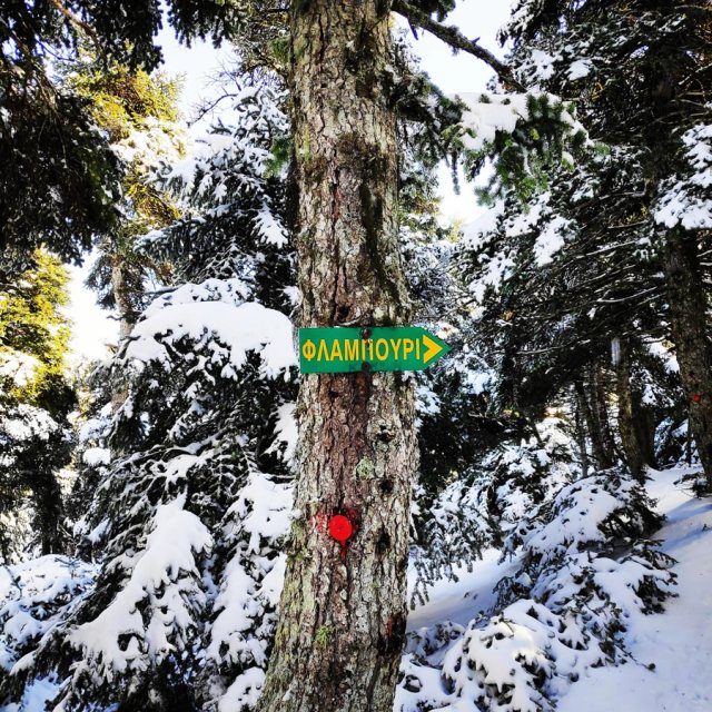 Winter_Hiking_Parnitha_20181230_105102_182