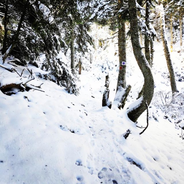 Winter_Hiking_Parnitha_20181230_105119_885