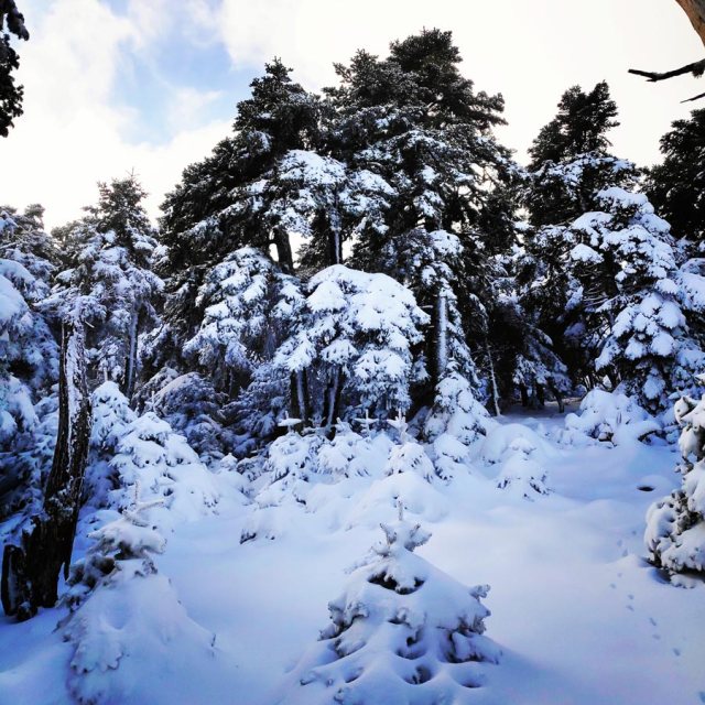 Winter_Hiking_Parnitha_20181230_105304_295