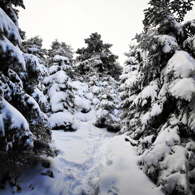 Winter_Hiking_Parnitha_20181230_105419_573