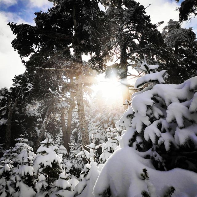 Winter_Hiking_Parnitha_20181230_105627_284