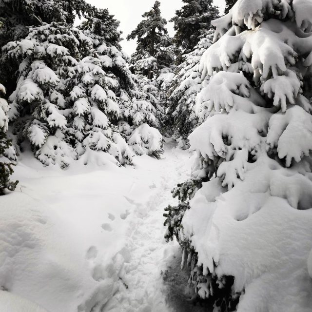 Winter_Hiking_Parnitha_20181230_105643_331