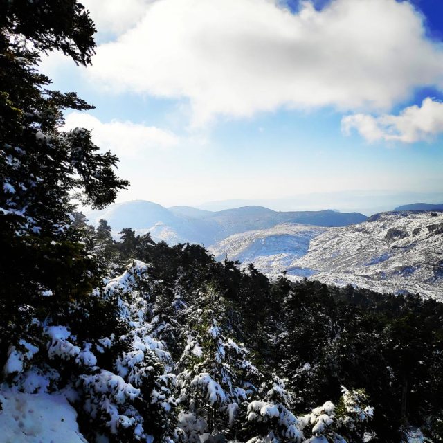 Winter_Hiking_Parnitha_20181230_105833_334