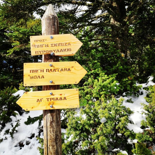 Winter_Hiking_Parnitha_20181230_110011_329