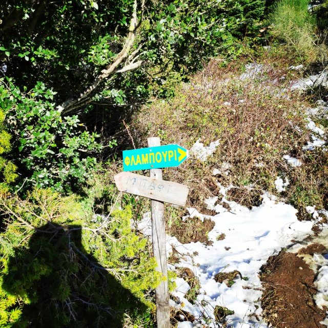 Winter_Hiking_Parnitha_20181230_110220_321